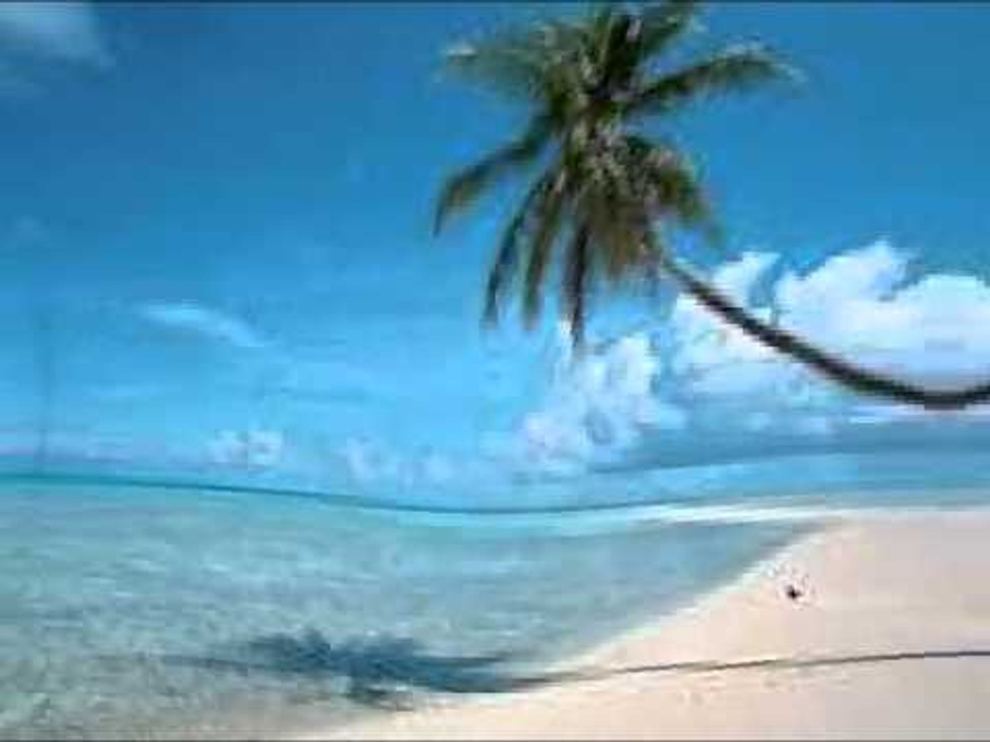 ⁣Shqip NB - Ti je Zjarr 2012