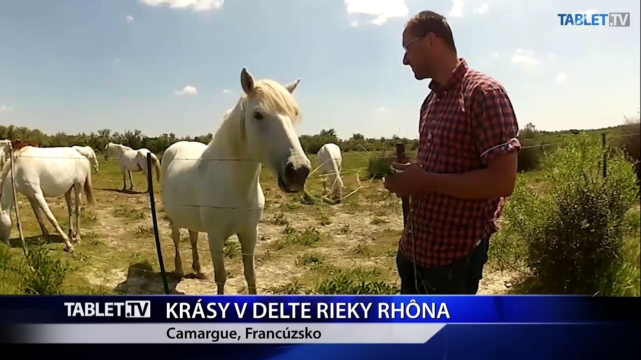 KRASY V DELTE RIEKY RHONA 2015-08-03
