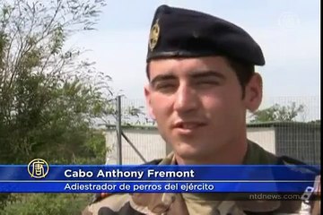 El perro que puede detectar el cáncer