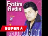 Festim Avdia - Ne lagjen tende