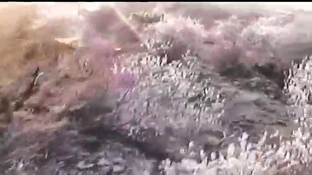 Rancho Las Lomas - Cacería Venado 160 1/8 B&C - Temporada 08-09