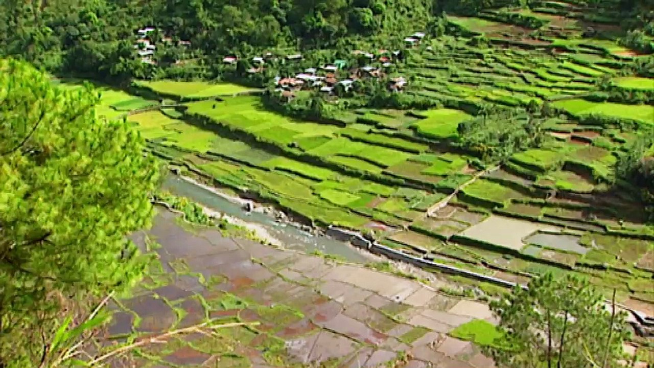 Philippines, la piste jeepney