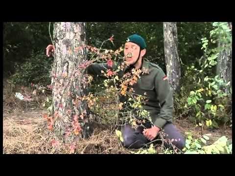 Sadri Imeri - Profesori Nuhi .. Xhelali & Teuta Sadiku.. shumari..P.4