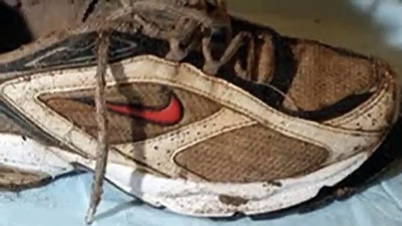 25 Strange and Sometimes Disturbing Discoveries That Remain Unexplained