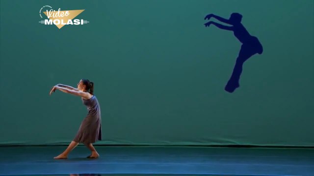 UNBELIEVABLE DANCE WITH SHADOWS