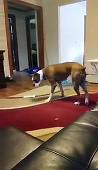 NO. YOU CAN'T GO ON THE COUCH