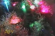 CATS IN CHRISTMAS TREES   AFV HOLIDAY COMPILATION   AFV