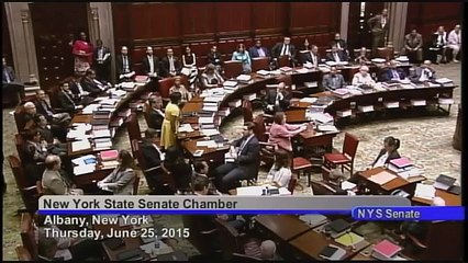 Senator Stewart-Cousins's closing remarks for the 2015 Legislative Session