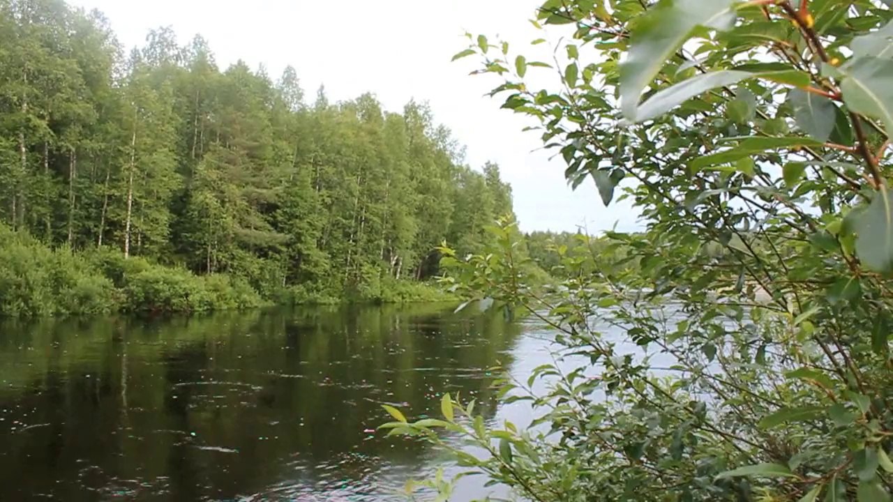 European Road Trip Experience