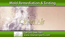 Mold Removal Boyton Beach, FL | Clean Air Xperts