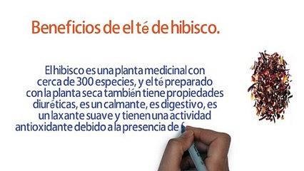 El Té De Hibisco Para Quemar Grasa y Afinar Cintura