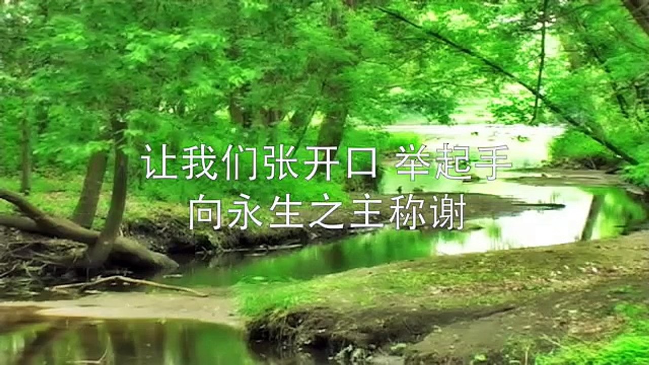 赞美之泉 Stream of Praise