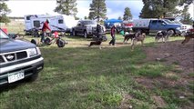 Mushing Boot Camp Pagosa Springs, Colorado Spring 2015