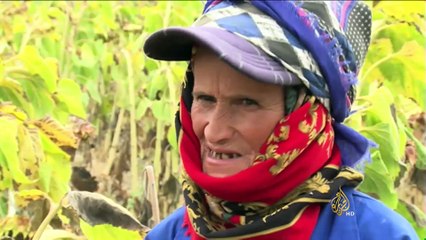 90% من نساء تونس يشتغلن في الفلاحة