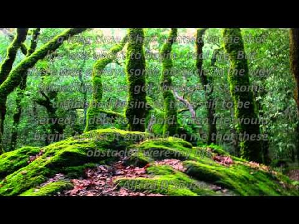 Carpe Diem Quotes #04