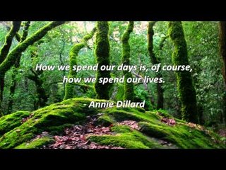 Carpe Diem Quotes #08