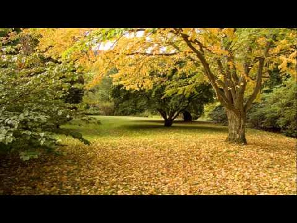 Carpe Diem Quotes #28