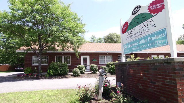 Welcome to Just Cats Veterinary Clinic