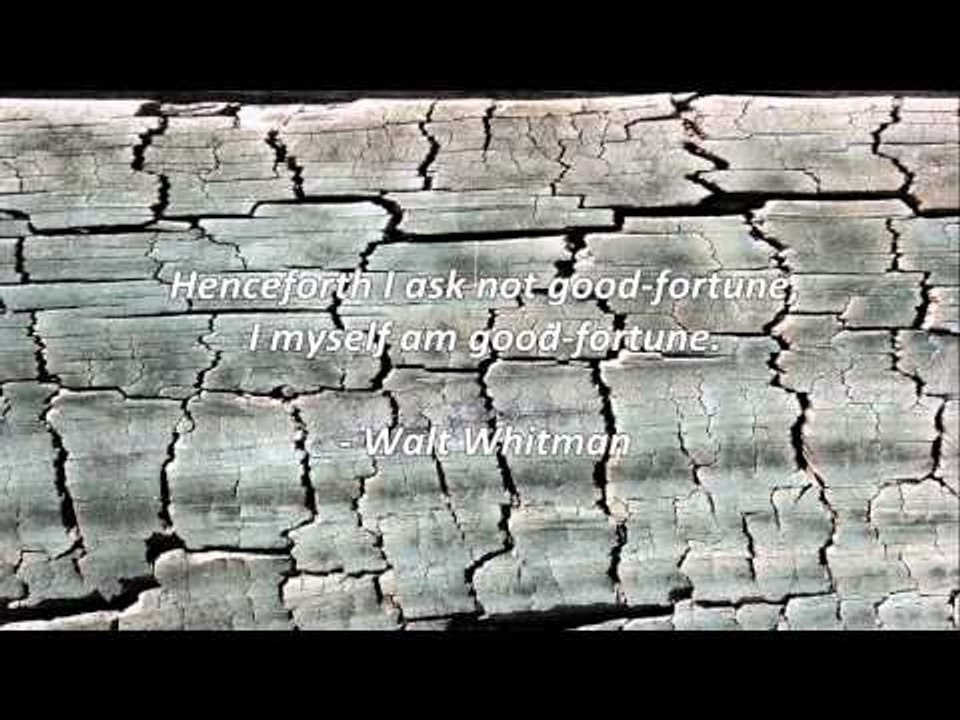 Attitude Quotes #16