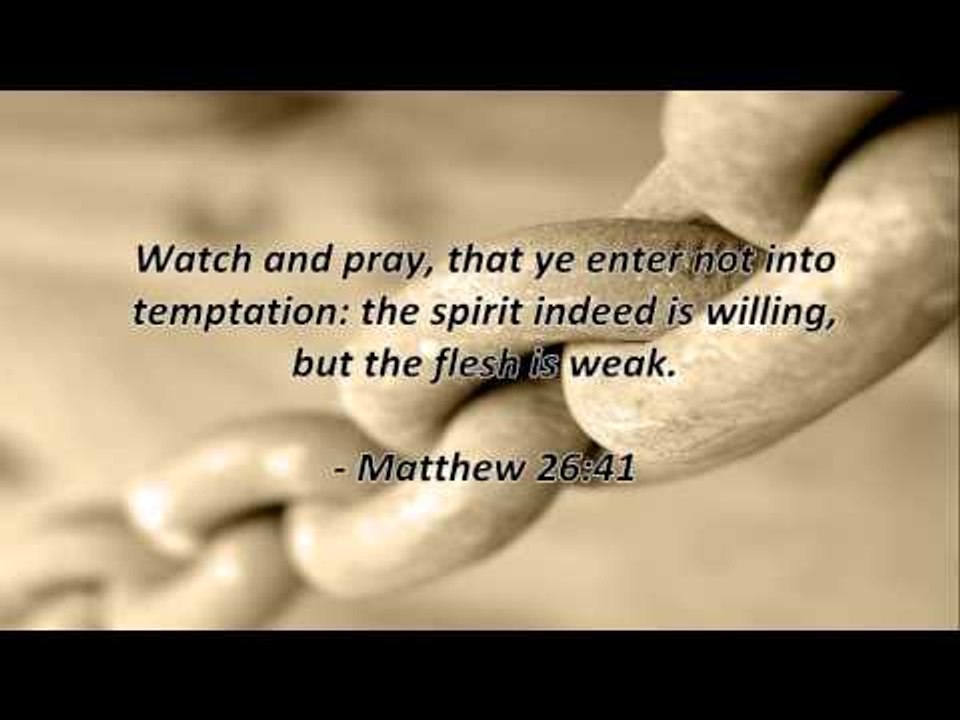 Bible Quotes #22