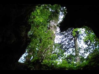 Exploring Cave No 1 🕳️