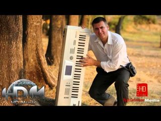 Tani Elbasanit  -  Fustani me pika (kolazh)