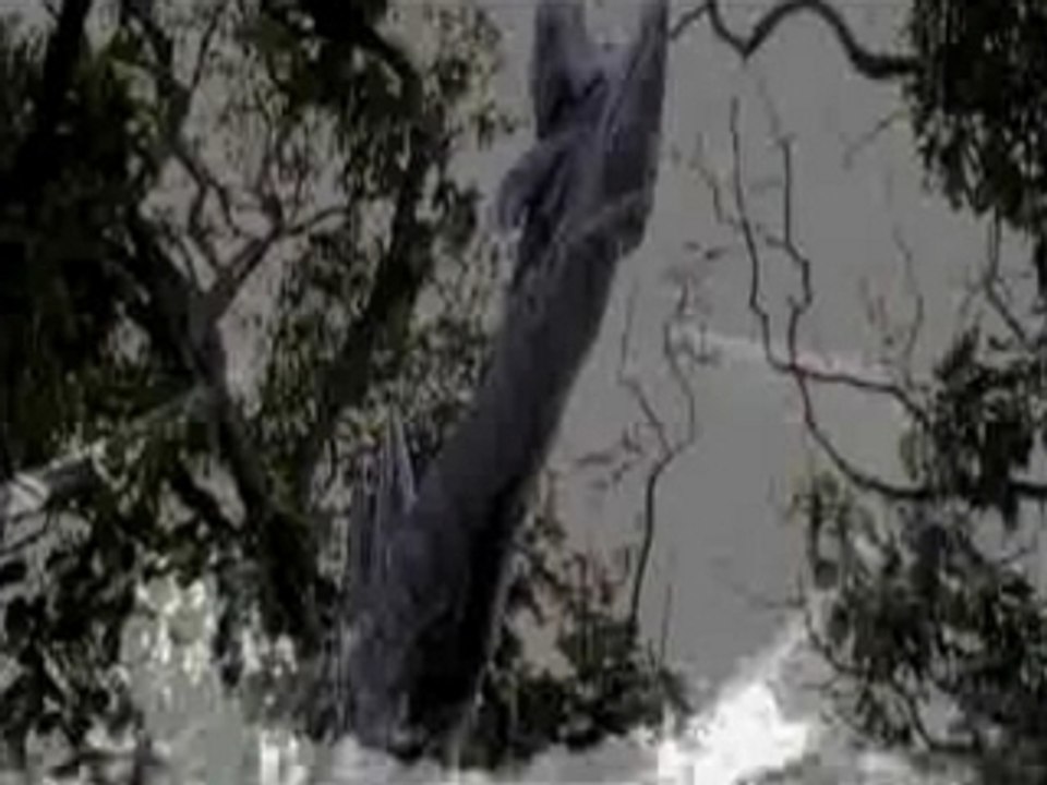 Lost - 3x17 - Catch-22 promo