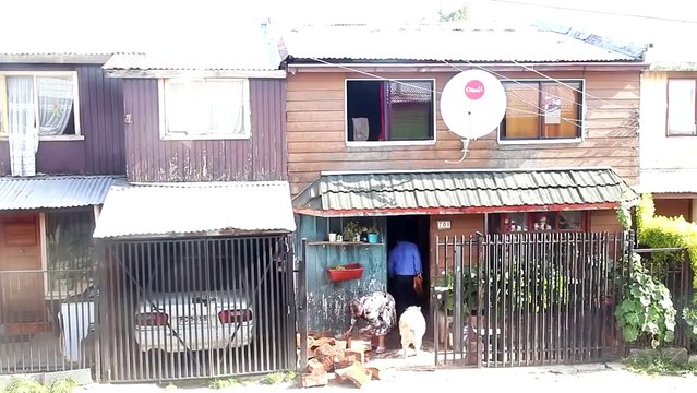 Cuteness alert_ labrador pup slides down the ramp