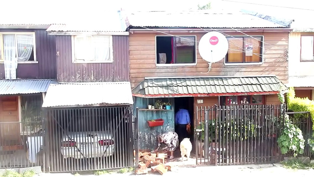 Cuteness alert_ labrador pup slides down the ramp