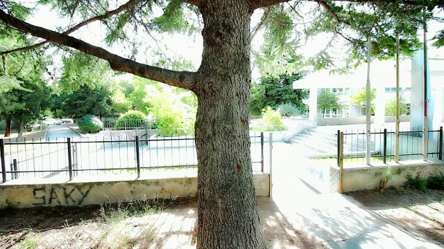 Grunf's DIY: camera slider motorized with a cordless screwdriver