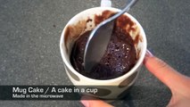 Speedy Mug Cake / A Chocolate Cake in a Cup - Recipe #38