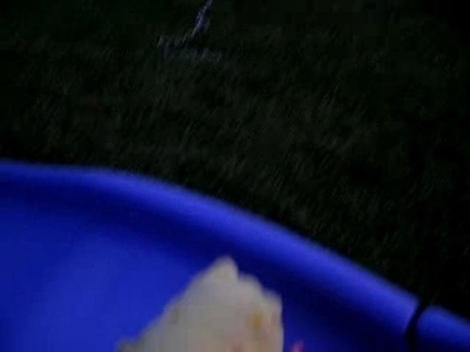 Bob fait du toboggan =D