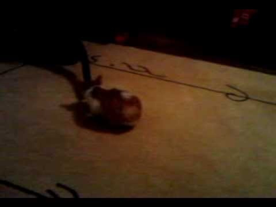 Esi when play