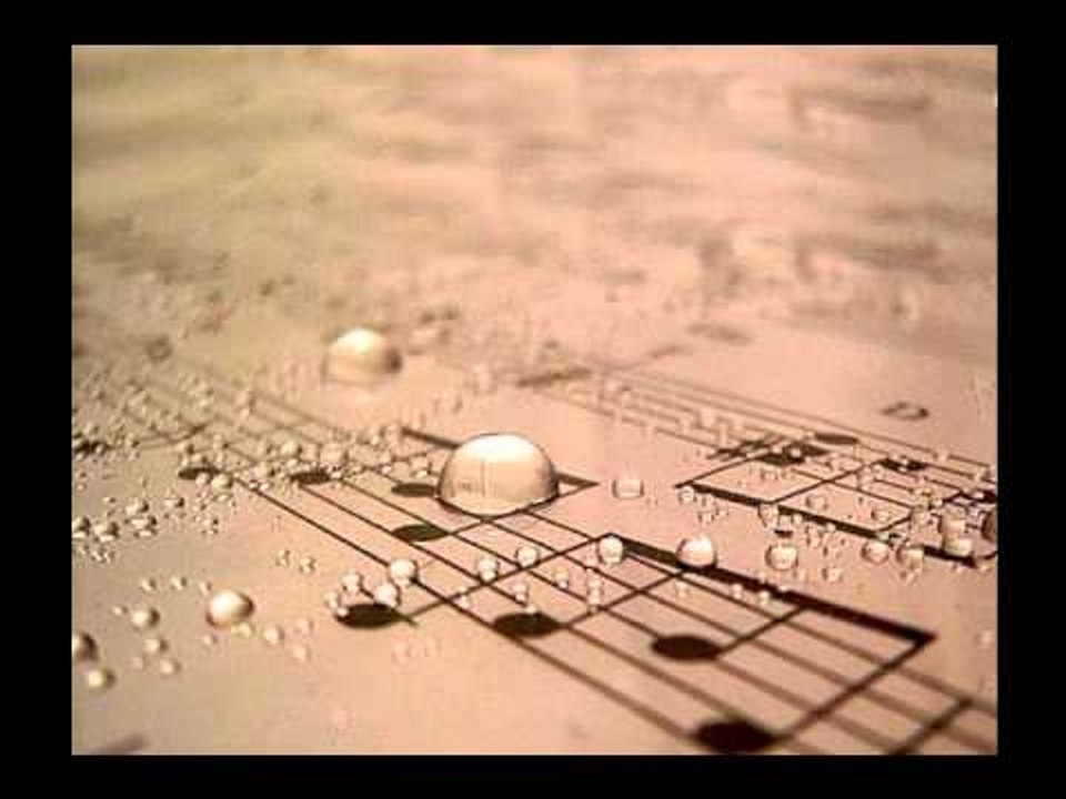 Muzike  Ritmike 2014