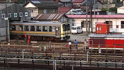 キハ120系　ナニコレ珍車景