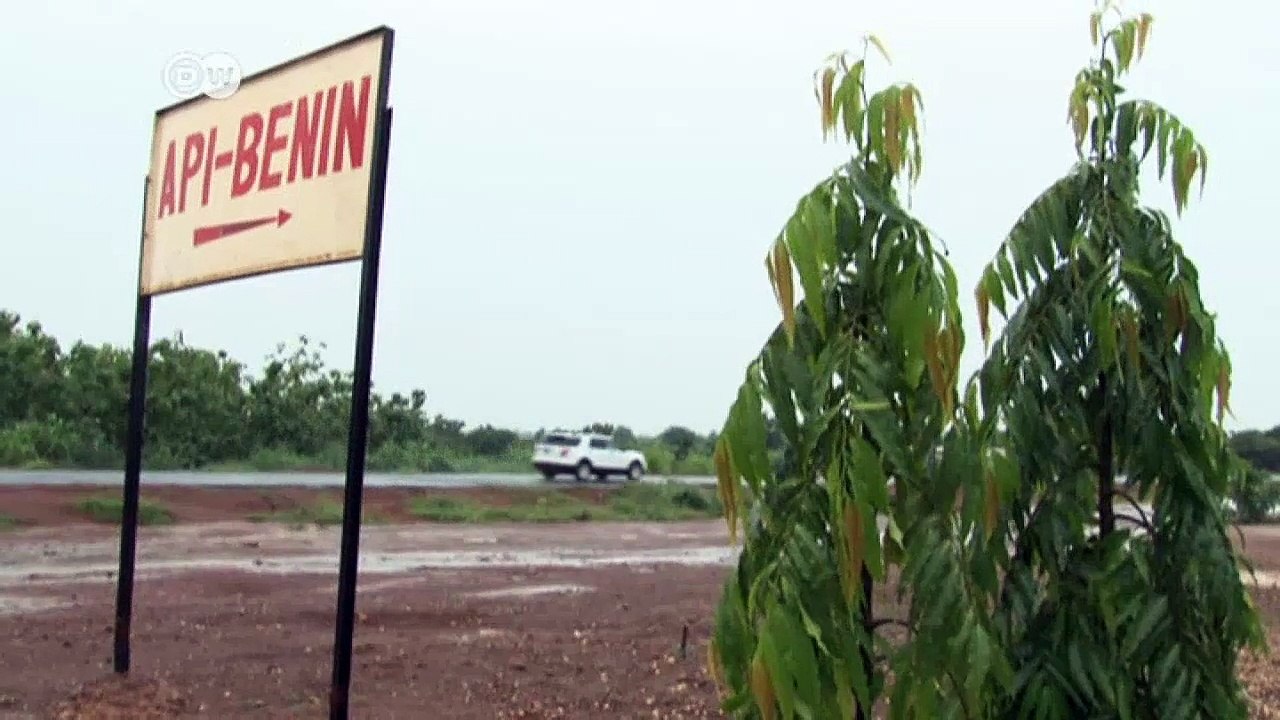 Benin: “Green medicine” against malaria | DW News