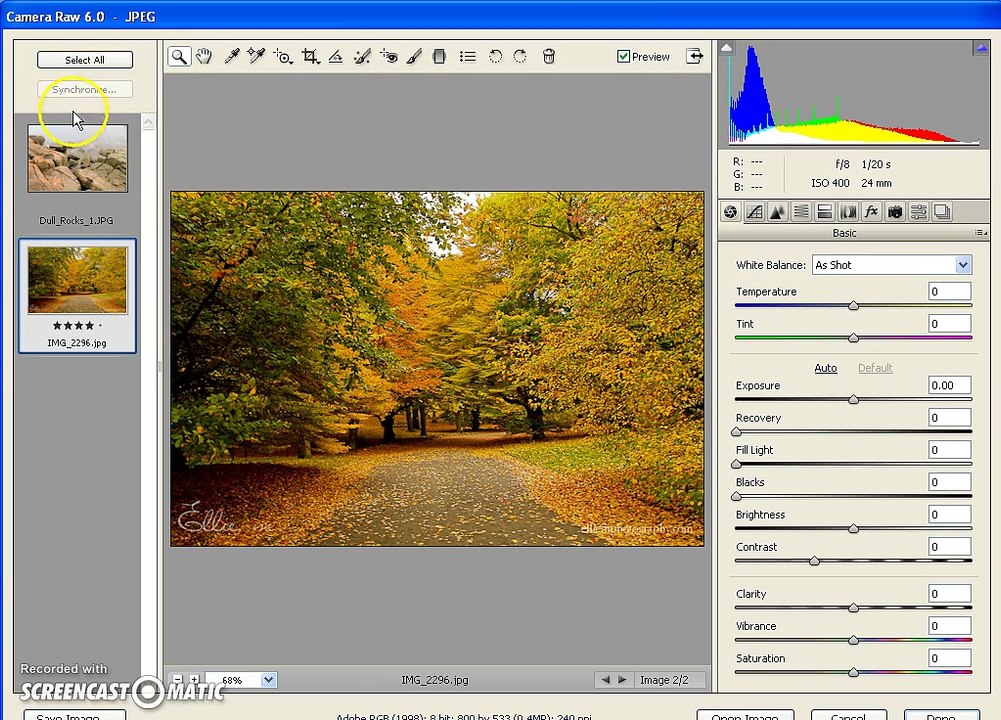 Topic # 16. Working with multiple files in Camera Raw