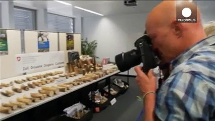 В Швейцарии изъята крупная партия контрабанды слоновой кости