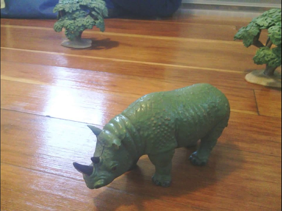 Animal Adventures' Studios Presents - Animal Face-Off: Elephant vs Rhino