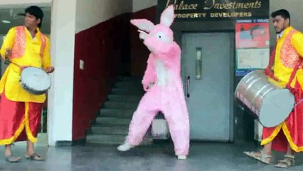 Dhol artists / Cartoon Characters / DJ in Chennai - Contact 9840800735