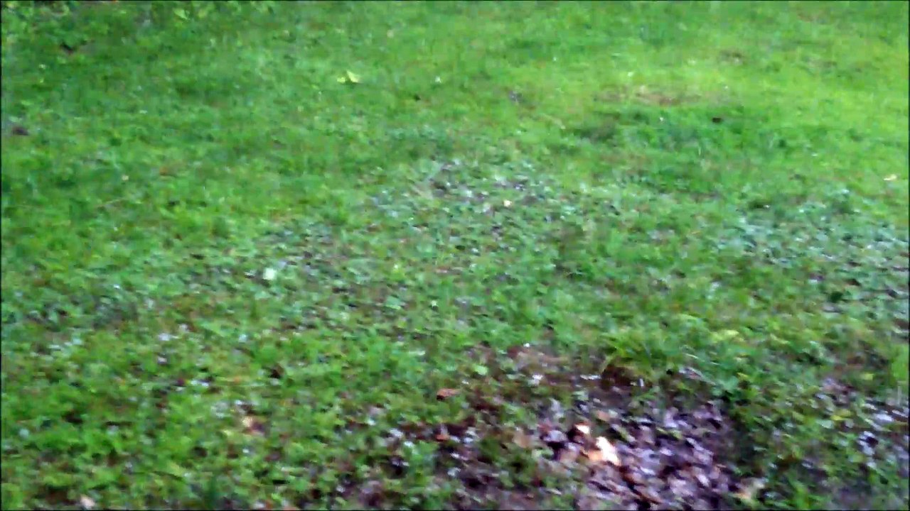Hail Storm