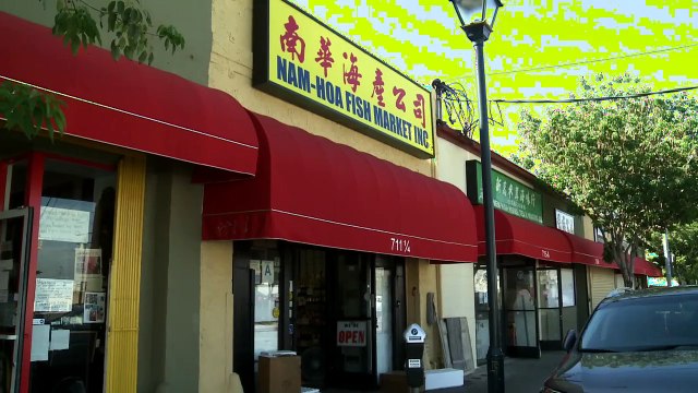 Couple turns passion for plush into velvet art museum