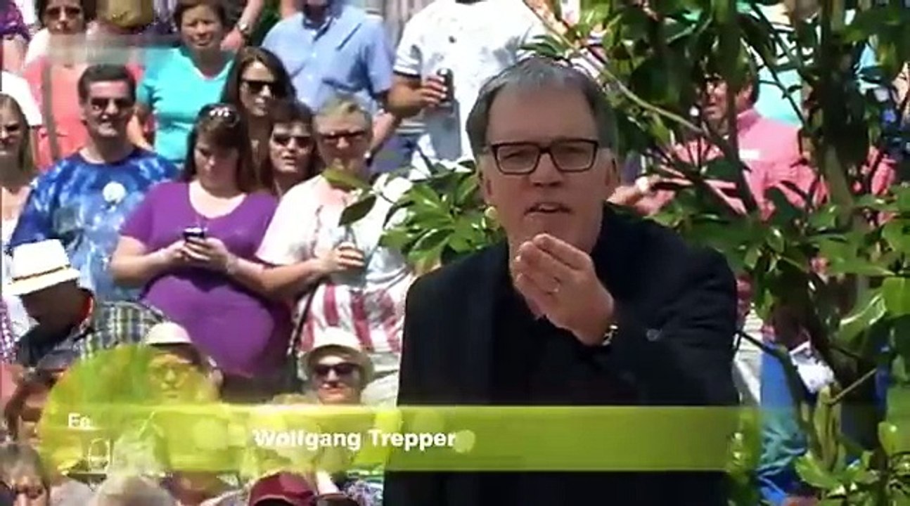 Wolfgang Trepper - Neue Deutsche Welle 2014