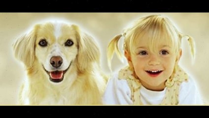 Latest Banfield Pet Insurance Prices 2015.