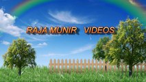 video clips-Best funny videos-short video clips