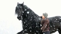 Marion Panier et Phéa, jument frison : Neige entre Noir et Blanc