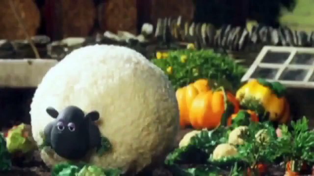 shaun the sheep championsheeps sheep camping chaos cartoon network