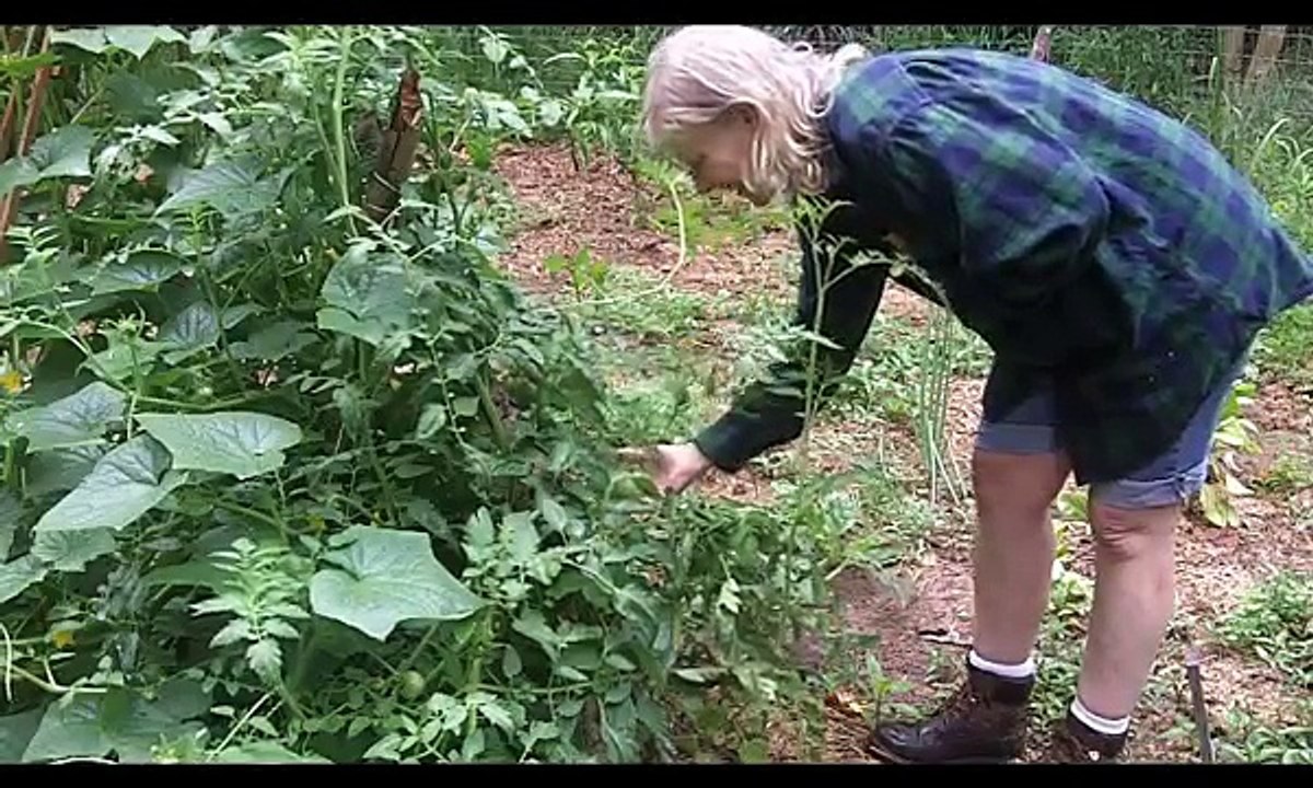 Raining & Raining... and Raining!