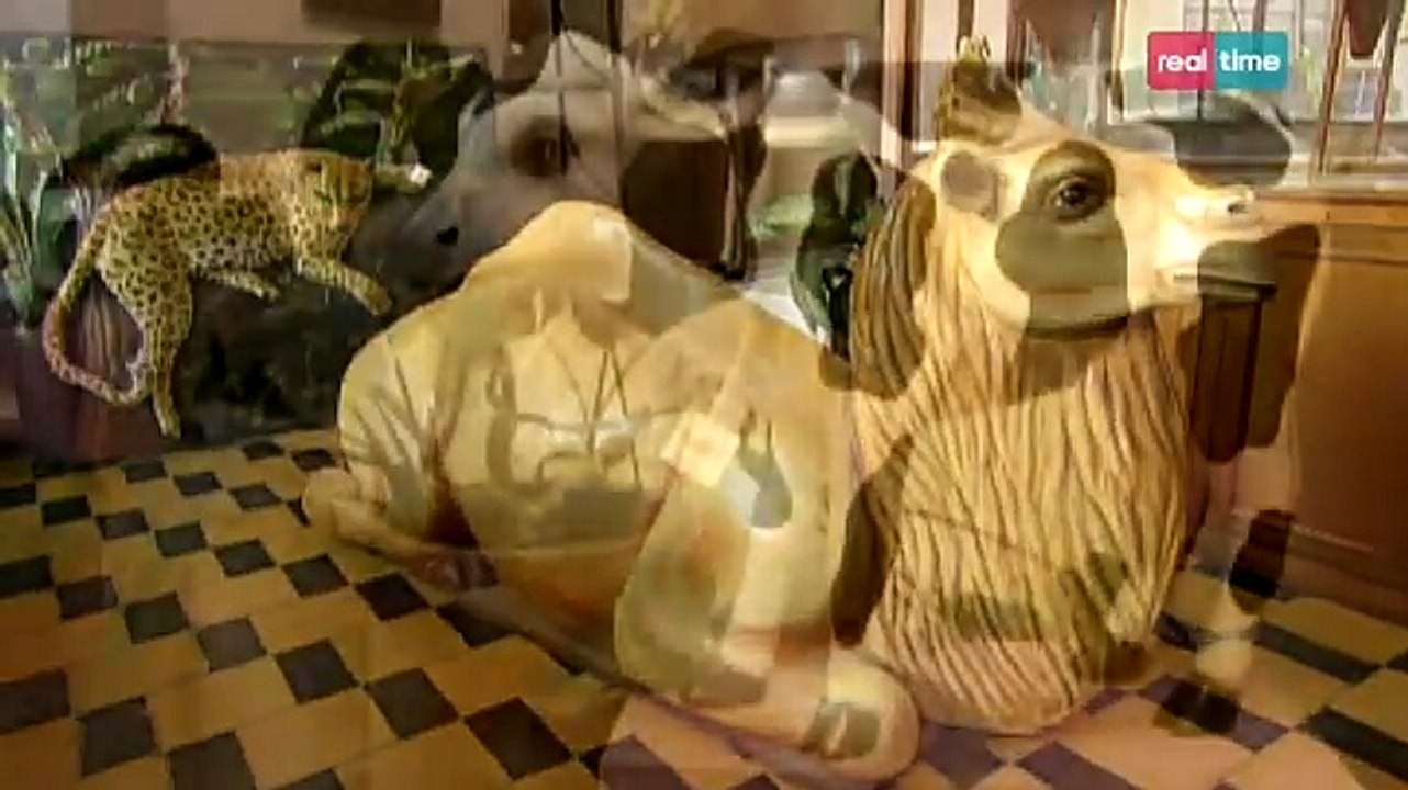 Com'è fatto - animali in cartapesta