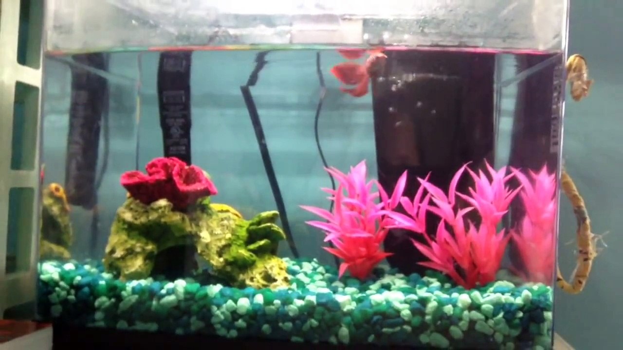 Tank Updates! +tank clips